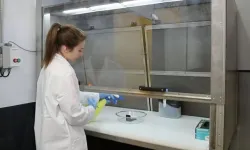 Opératrice devant une sorbonne pour initier les essais de tenue aux fluides