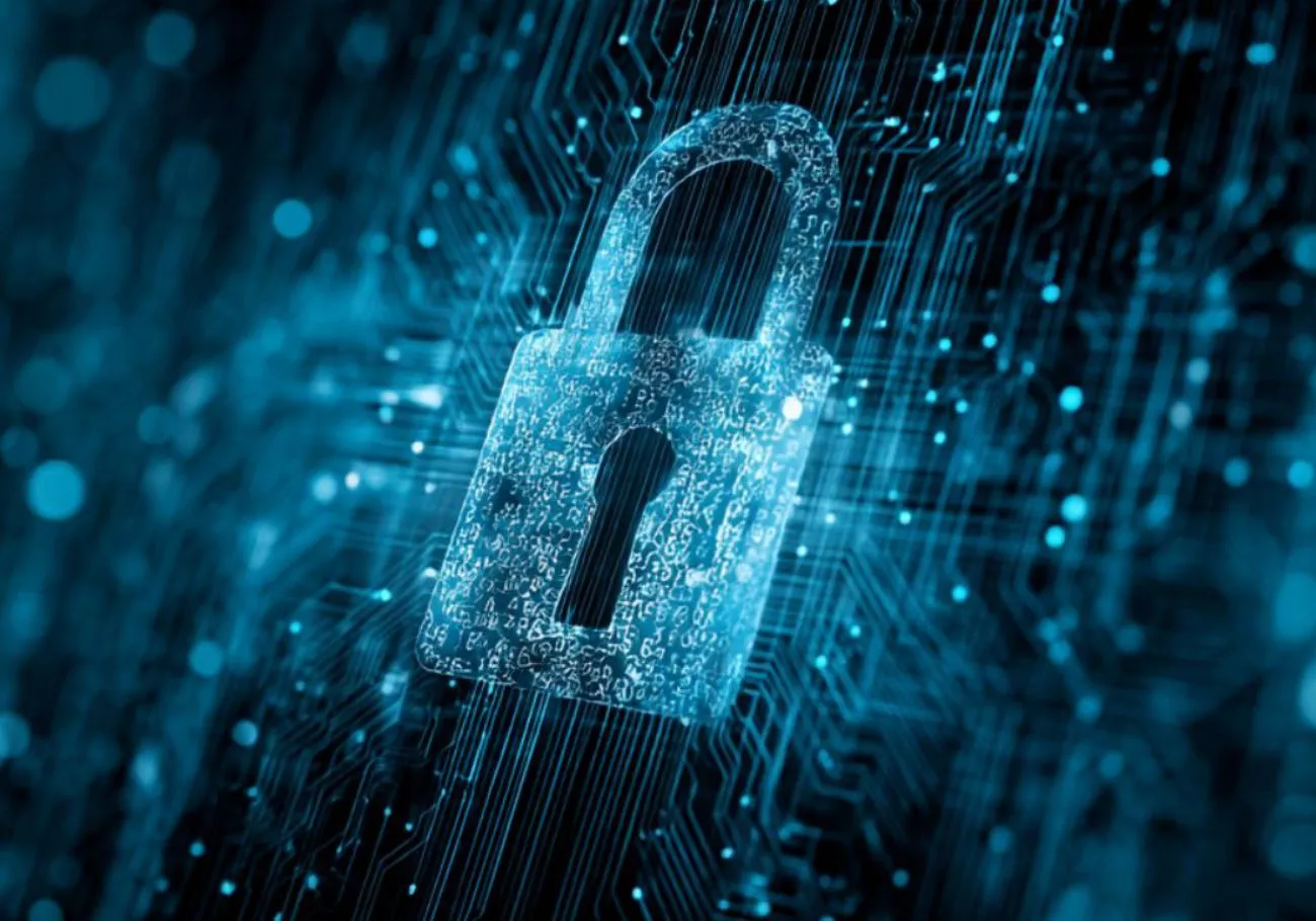 padlocks in cyberspace