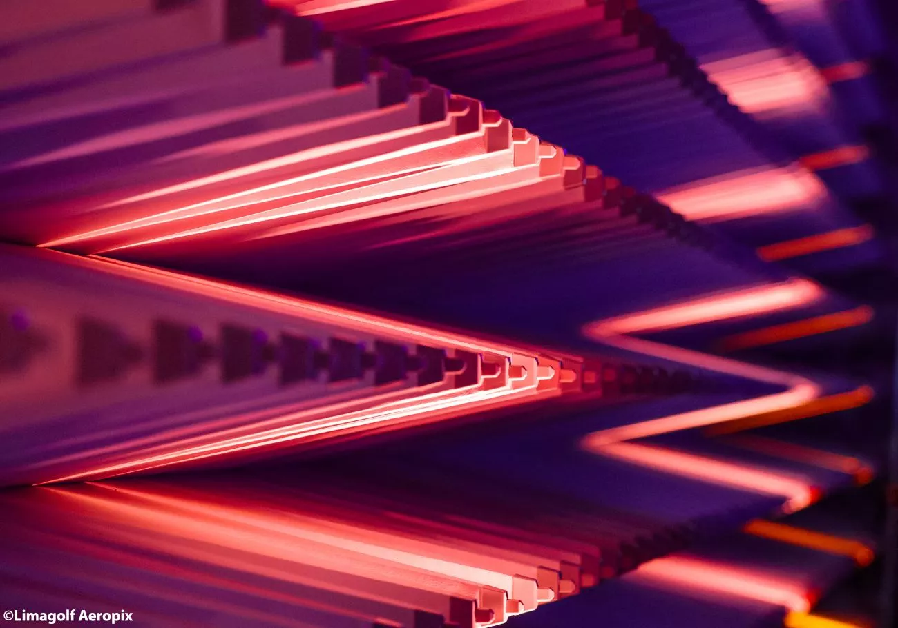 Cones of a Faraday cage
